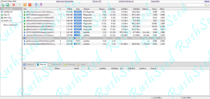 Letöltés: 13,9 MB/s | Feltöltés: 16,4 MB/s