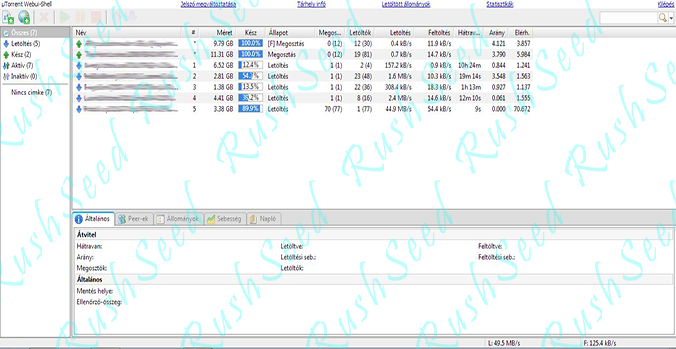 Letöltés: 49,5 MB/s | Feltöltés: 125 kB/s
